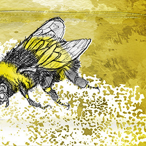 The Amorphous and Agile Swarming of Belongingness: Part 1 The Amorphous and Agile Swarming of Belongingness: Part 1