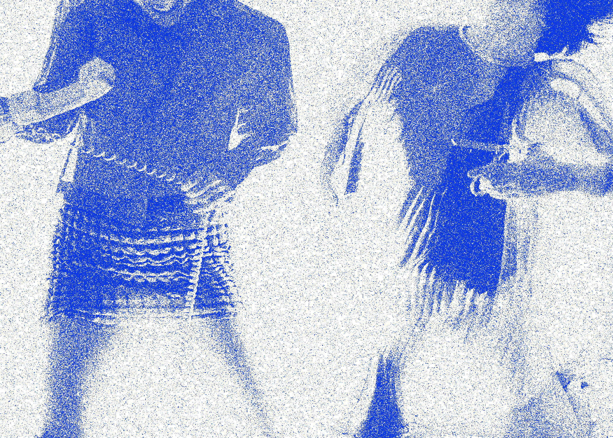 BONNIES_SFD+I